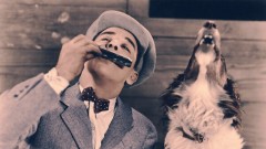 Dog howling with harmonica